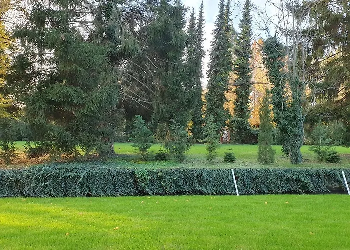 Appartement Gaestehaus Martha Rust